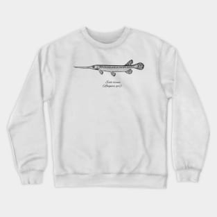 ESOX OSSEUS Crewneck Sweatshirt